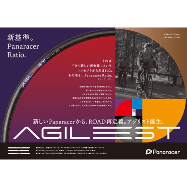 パナレーサー AGILEST アジリスト 黒／黒 F700×25C 2本セット od