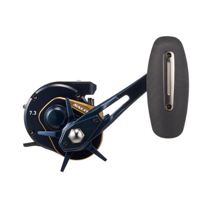 DAIWA SALTIGA IC 300H-SJ ベイトリール(右巻き) 【公式通販】