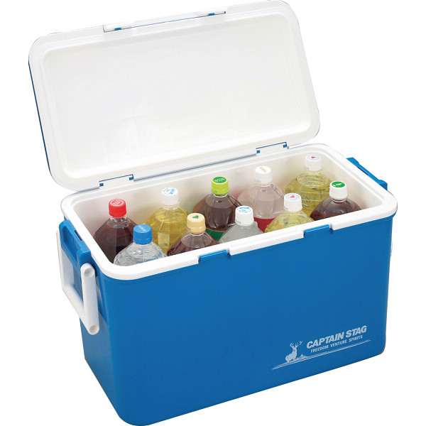 開店祝い その他 プラチナ 金沢箔万年筆 キンギョ 包装 のし可 納期目安 １週間 日本全国送料無料 Ihmc21 Com