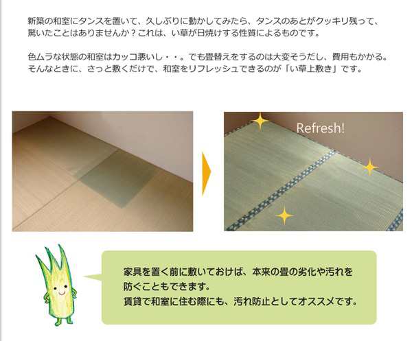 受賞店 い草 上敷き ラグマット 抗菌 防臭 調湿 日本製 減農薬栽培