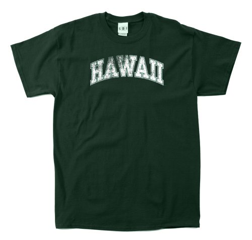 NCAA Hawaii Rainbow Warriors 100-percent加工ヴィンテージアーチ半袖Tee XL グリーン