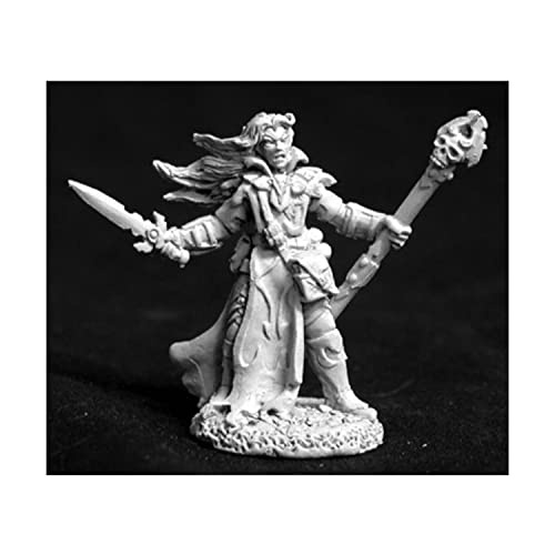 Dark Elf Sorcerer