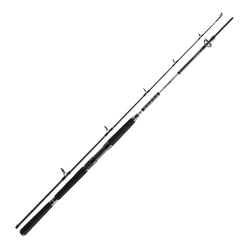 ダイワ(DAIWA) ボートロッド 深海XXH BG 7フィート3インチ 5.3~14.5オンス