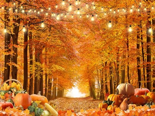 秋の背景幕 7x5フィート 秋の森の写真背景、メープルの葉 パンプキン 感謝祭パーティー用品 メープルの葉 収穫写真背景