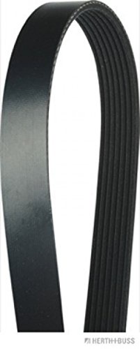 HERTH+BUSS JAKOPARTS J1071095 V-Ribbed Belts 90916-02523