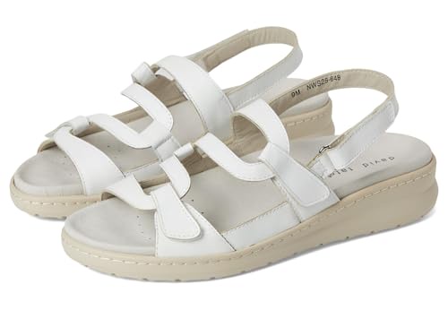 David Tate レディース ファム フラットサンダル, ホワイト, 25.0 cm W