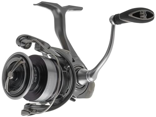 ダイワ(DAIWA) スピンリール エクセラー 6000 LT 5BB + 1 5.1 :1