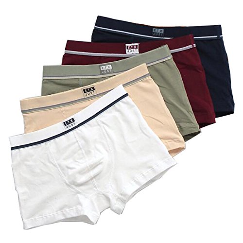 Blueleyu UNDERWEAR ボーイズ US サイズ: 14-16 YRS カラー: ブラック
