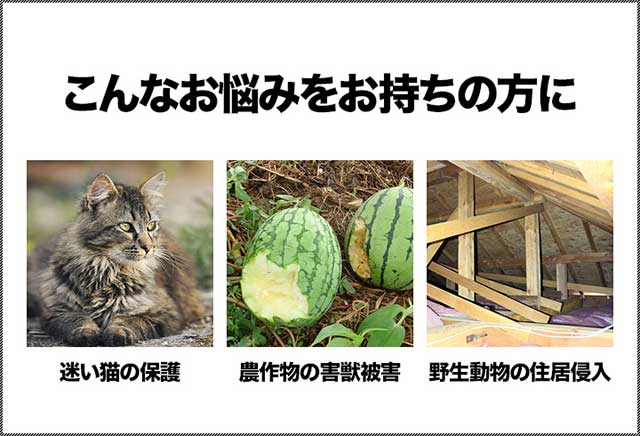 動物 捕獲器 Mサイズ 25x66x26cm 小動物 猫用 踏板式 バネ式 飼い猫 迷子猫 野良猫 小動物 保護 捕獲 動物捕獲器 動物用捕獲器 吊りエサの通販はau Pay マーケット マックスシェアー
