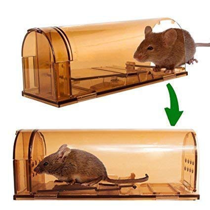 取扱いが簡単なねずみ捕り 角型ネズミ捕獲器の通信販売