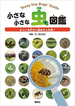 小さな小さな虫図鑑(中古品)