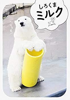 しろくまミルク(中古品)の通販は