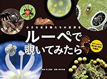 小さな生き物たちの世界を ルーペで覗いてみたら (momobook)(中古品)