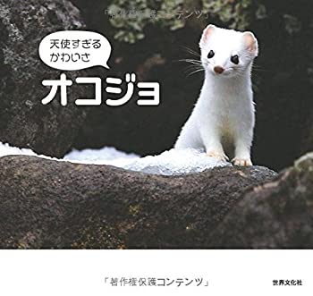 天使すぎるかわいさ オコジョ(中古品)の通販は 6,645円