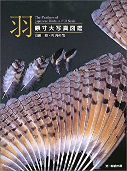 恐怖・戦争・爆弾—原子力の軍事的・政治的意義 (1951年)(中古品) 恐怖・戦争・爆弾—原子力の軍事的・政治的意義 (1951年)(中古品)