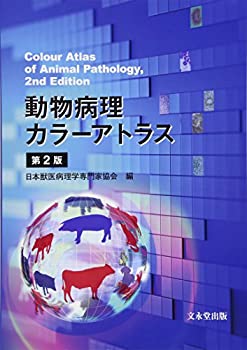カラーアトラス獣医解剖学 上巻 増補改訂第2版 獣医解剖学 第二