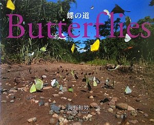 蝶の道—Butterflies(未使用 未開封の中古品)