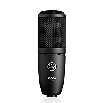 【中古品】AKG P120 Project Studio Line コンデンサーマイクロフォン(中古品)