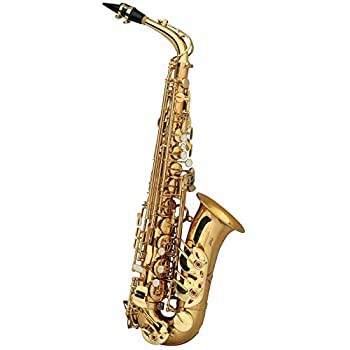 【中古品】Zeff アルトサックス E♭管 ゴールドラッカー 仕上げ ZAS-30 軽量セミハー (中古品)の通販は