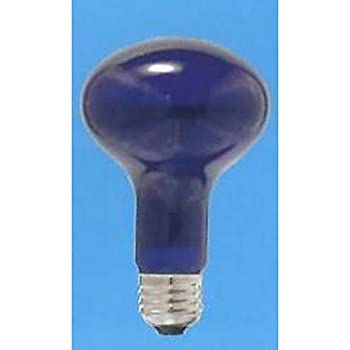 【新品】旭光 耐熱透明カラー球(内面フロストタイプ) R100 110V100W 口金:E26 ブル (新品)