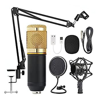 【中古】マイク BM 800カラオケマイクBM800スタジオコンデンサーミクロフォンマイクBM-800 KTVラジオブラッドキャスティング歌ディング撮