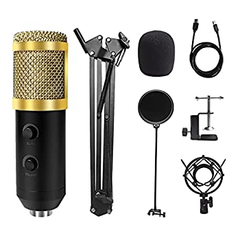 未使用】【中古】 PICKBOY ピックボーイ ストーン ピック GP-ST-3 BL