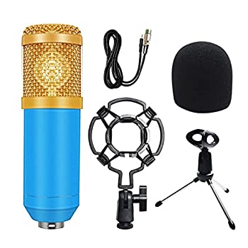 【中古】(未使用･未開封品)マイク BM 800マイクロホンコンデンサーサウンドレコーディングマイクホーンキットショックマウント+フォームの通販は 10,530円