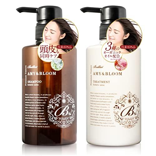 B Brilliet シャンプー・トリートメントセット 各400ml ノンシリコン オーガニック 美髪 育毛