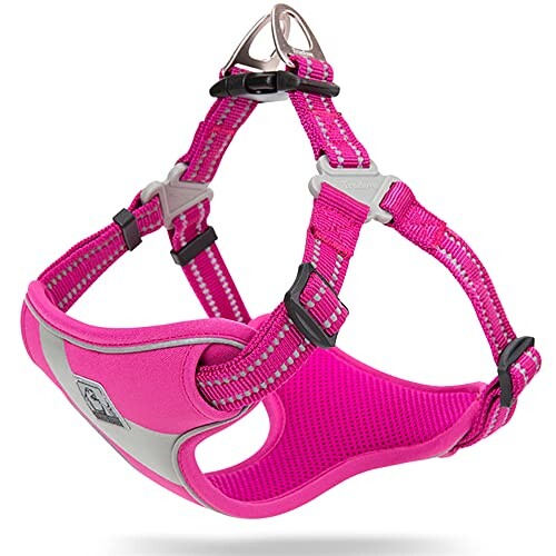 【送料無料】J&C Paradise 快適 犬ハーネス 日本正規店 犬用胴輪 簡単装着 目立つ 3M反射 軽量 負担が少ない おしゃれ 人気