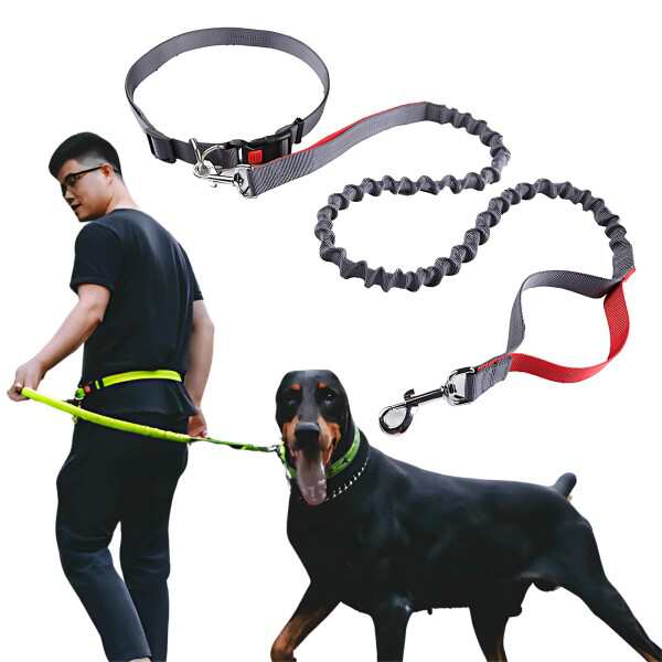 【送料無料】Mellbo 犬 リード ショルダーリード 首輪付き 犬用リード 肩掛け 伸縮 小型犬 中型犬 大型犬 6in1多機能 140-