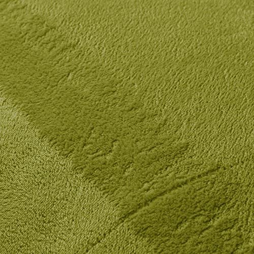 【送料無料】セルタン 座椅子 高反発 和楽チェア Lサイズ テクノグリーン 背筋ピン 背部リクライニング 日本製 A453a-588GRNの通販は