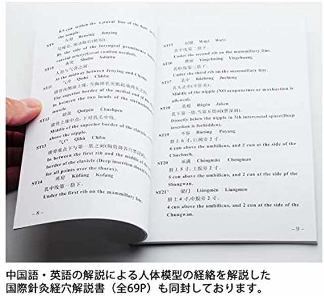 人体模型 ツボ 針灸 鍼灸経穴模型 経絡 モデル 整体 マッサージ 学習用