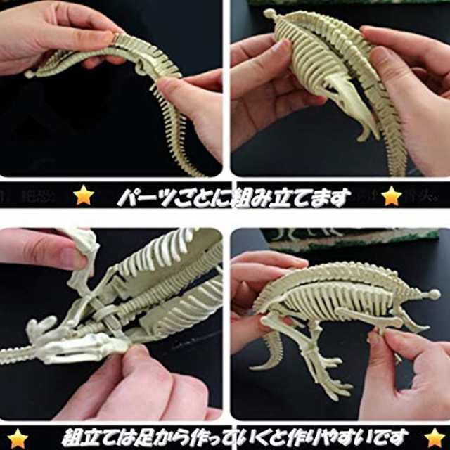 恐竜 化石 発掘 おもちゃ キット ティラノサウルス マンモス 知育 知的 興味 子供用 景品 ギフト プレゼントの通販はau Pay マーケット ホリック