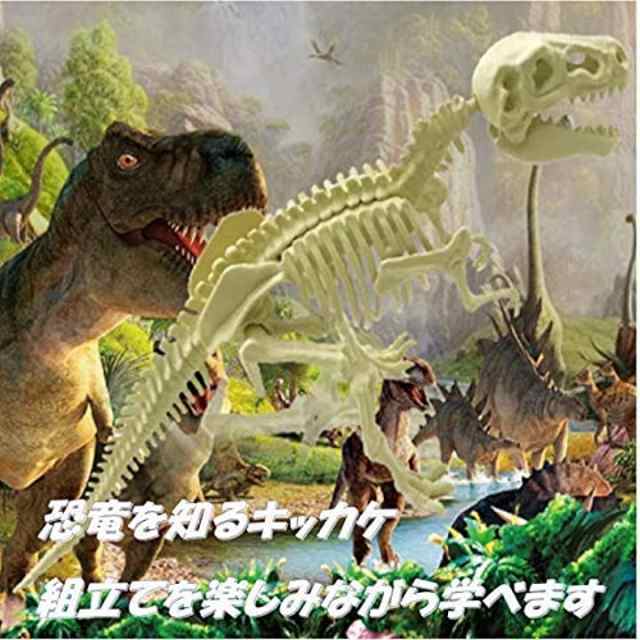 恐竜 化石 発掘 おもちゃ キット ティラノサウルス マンモス 知育 知的 興味 子供用 景品 ギフト プレゼントの通販はau Pay マーケット ホリック