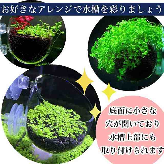 アクアリウム 水槽 オーナメント インテリア かくれ家 ガラス 植物 無 ポット ２個 透明 の通販はau Pay マーケット ホリック