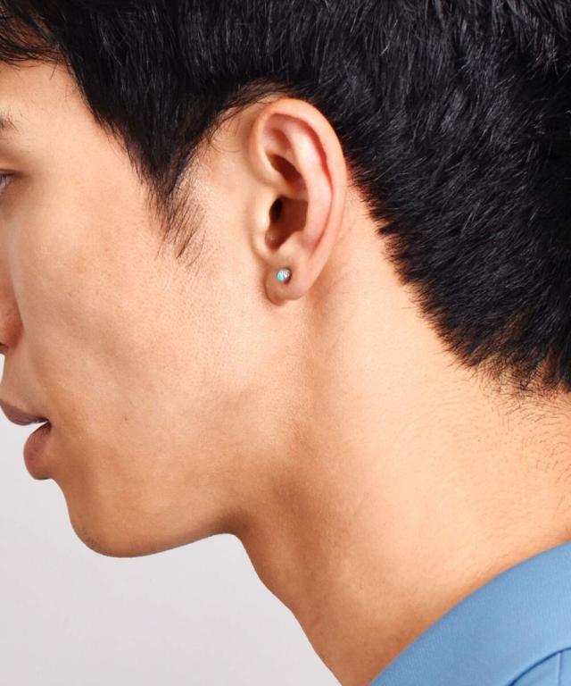 ライオンハート（LION HEART）/LH スタッズピアス/サークルヘリテイジ