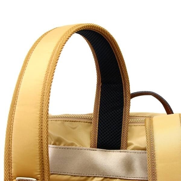 アジリティービゾン（AGILITY Bisogn）/キャドリュック/テフツイル