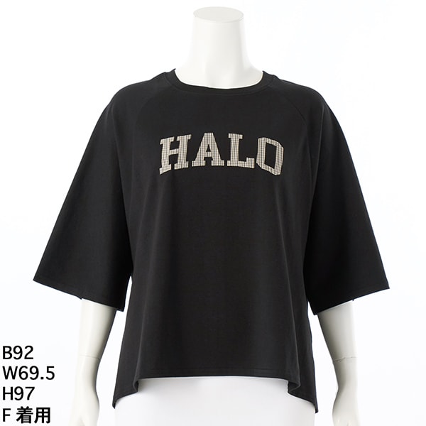 アル・ディ・ラ（AL DI LA）/【洗える】チェック柄ロゴラグランTシャツ