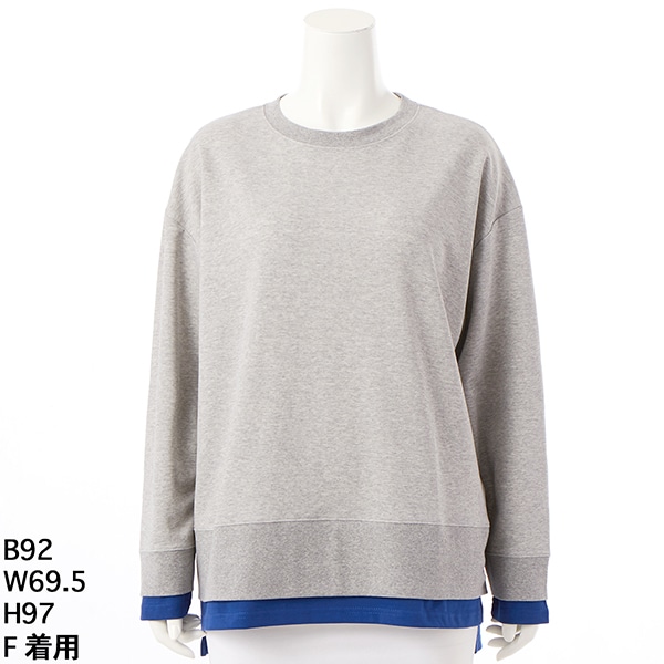 アル・ディ・ラ（AL DI LA）/【洗える】バイカラーレイヤードプルオーバー