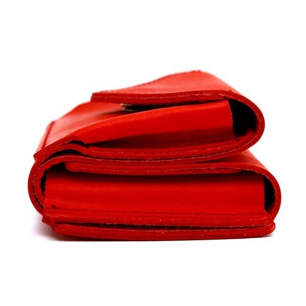 アジリティーアッファ（AGILITY Affa）/ナノウォレット/ミネルバ