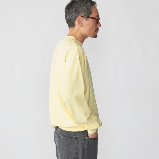 シップス（SHIPS）/SHIPS: スビン ギザ コットン ロングスリーブ Tシャツ_16