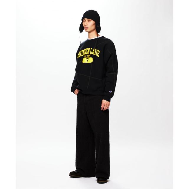 ジャーナルスタンダード（JOURNAL STANDARD）/CHAMPION / チャンピオン for JS ステッチ プリント スウェット_5