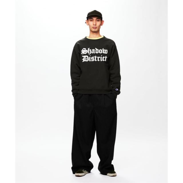ジャーナルスタンダード（JOURNAL STANDARD）/CHAMPION / チャンピオン for JS ステッチ プリント スウェット_10