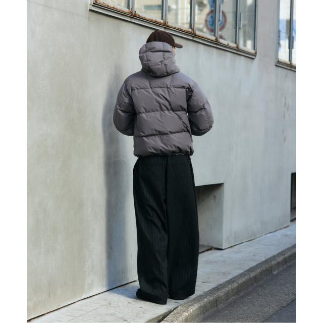 ジャーナルスタンダード（JOURNAL STANDARD）/《予約》TR モダン ツイル ワイド ストライプ スラックス