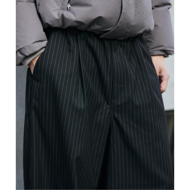 ジャーナルスタンダード（JOURNAL STANDARD）/《予約》TR モダン ツイル ワイド ストライプ スラックス