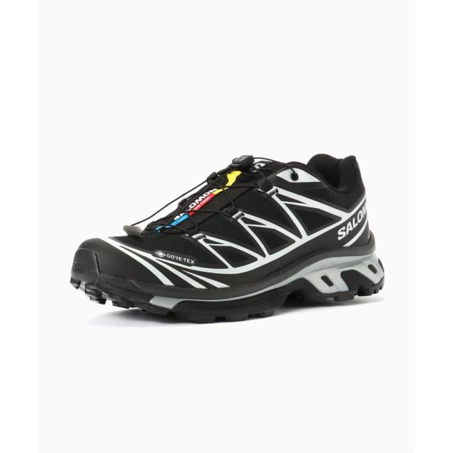 ジャーナルスタンダード（JOURNAL STANDARD）/SALOMON / サロモン XT−6 GTX_1