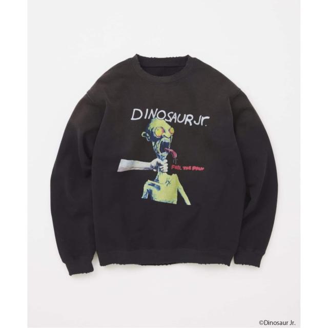 ジャーナルスタンダード（JOURNAL STANDARD）/DINOSAUR Jr 