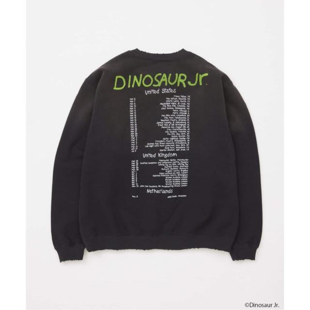 ジャーナルスタンダード（JOURNAL STANDARD）/DINOSAUR Jr