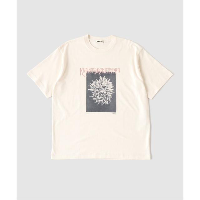 【NEW】ジャーナルスタンダード（JOURNAL STANDARD）/UNDYED / アンダイド 別注 Karl Blossfeldt フォトT_2