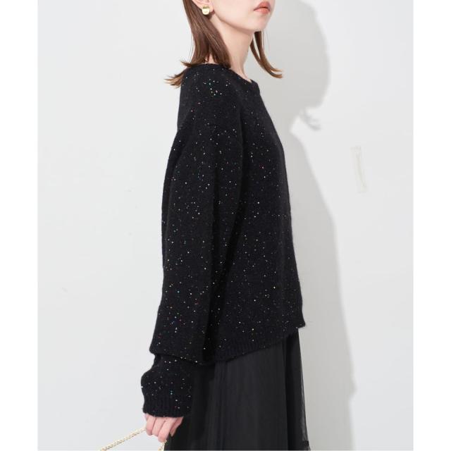 スローブ イエナ（SLOBE IENA）/《WEB限定/追加2予約》スパンコールニット